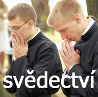 Svědectví